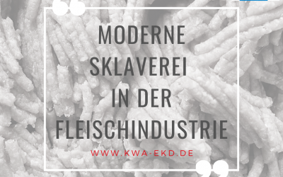 Pressemitteilung: Moderne Sklaverei in der Fleischindustrie – durch Corona aufgedeckt