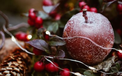 Wortmeldung Dezember 2021: Advent, Advent – kein Lichtlein brennt?