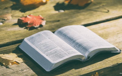 Halbzeit: Glaube – Hoffnung – Liebe