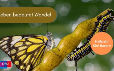Halbzeit: Leben bedeutet Wandel