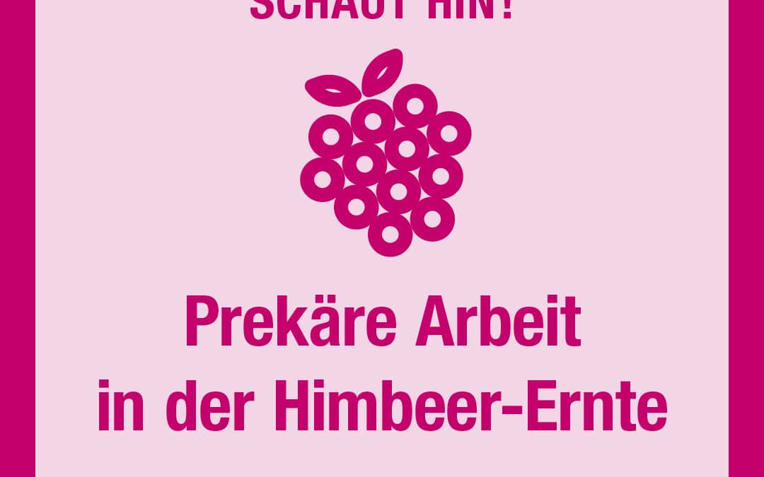 Prekäre Arbeit  in der Himbeer-Ernte