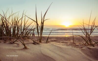 Bildungsurlaub 2026 – Zeit für Balance und Zufriedenheit im Job